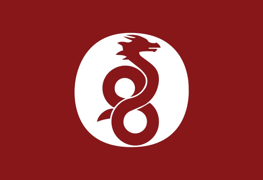 Wireguard Logo